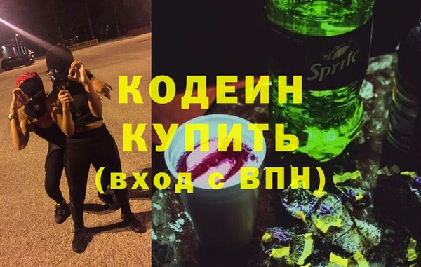 хмурый Алексин