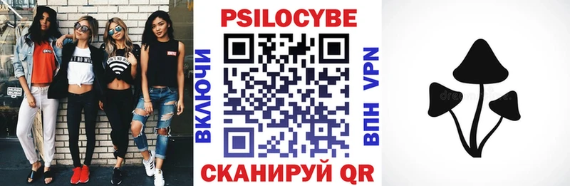 Псилоцибиновые грибы Magic Shrooms  купить  сайты  Абакан 